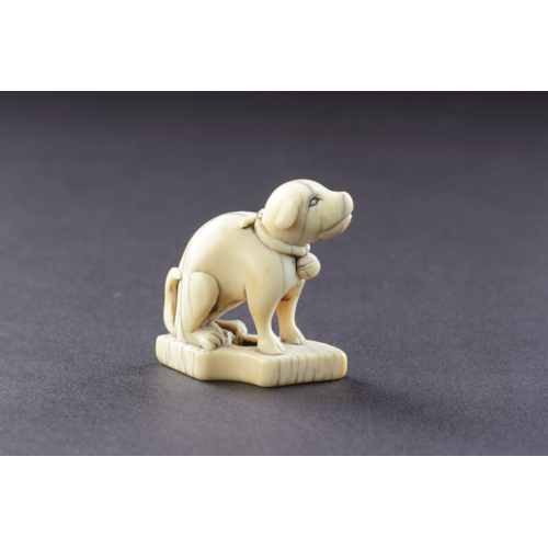 Japanese Carved Ivory Netsuke of a Seated Dog Wearing a Collar with a Suspended Bell